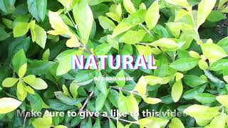 Natural | Good Music | Official Audio