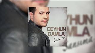 Ceyhun Damla - Çaresiz Resimi