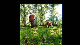 mythical creature, #otherkin #therian #quads