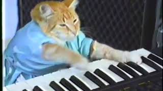 Keyboard Cat...прочитайте описание.