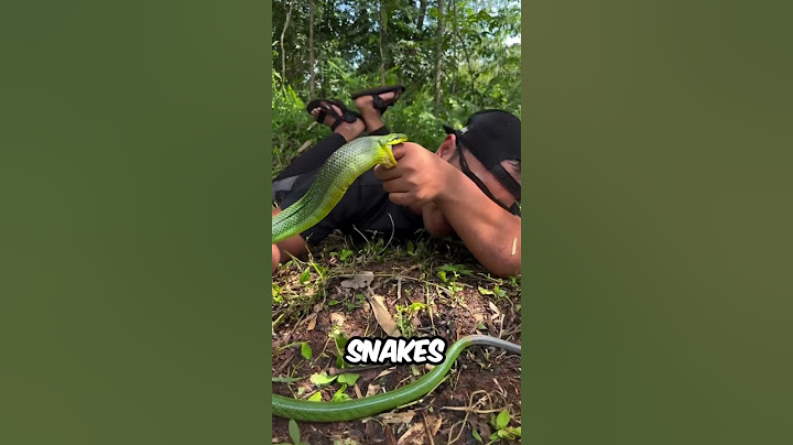 This Guy Loves Getting Bit By The World’s Most Venomous Snakes! 😱🐍