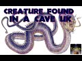 Ancient worm Cave Creature