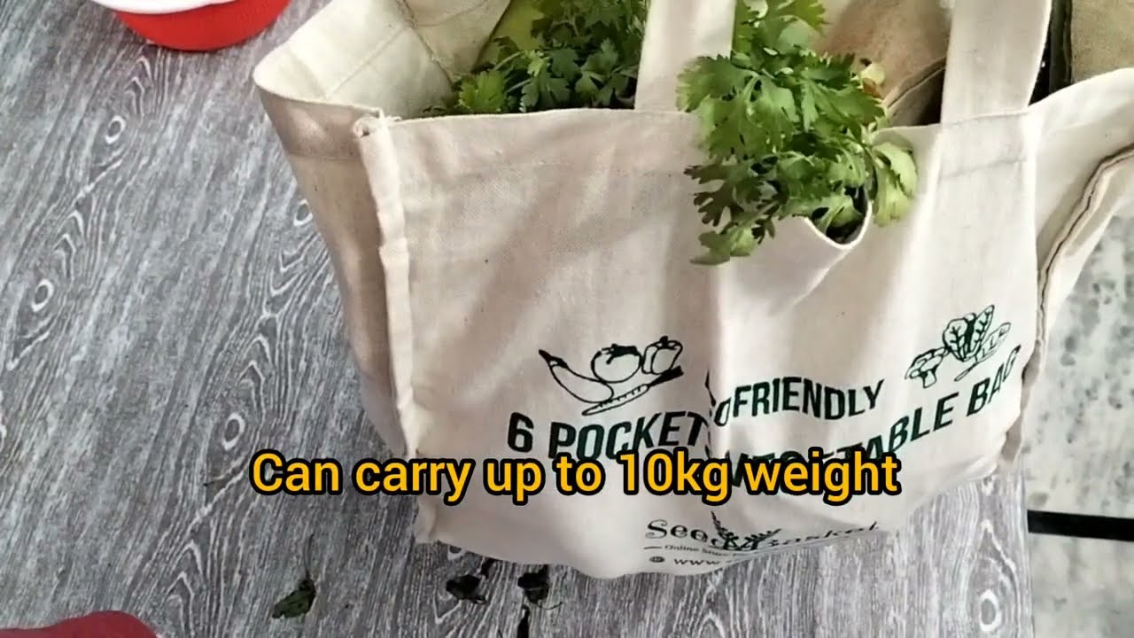 Biodegradable Vegetable Fruit T-Shirt Carry Bag for Supermarket with Ok  Compost - China Biodegradable Bag and Shopping Bag price | Made-in-China.com