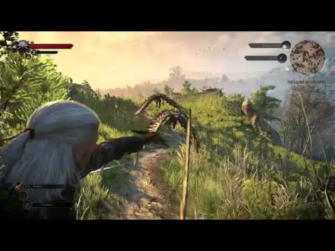 5 Cose da Sapere su... The Witcher 3