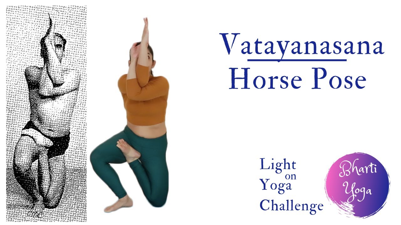 Parivrtta Vatayanasana Pose Stock Photo - Download Image Now - Horse, Joint  - Body Part, Active Lifestyle - iStock