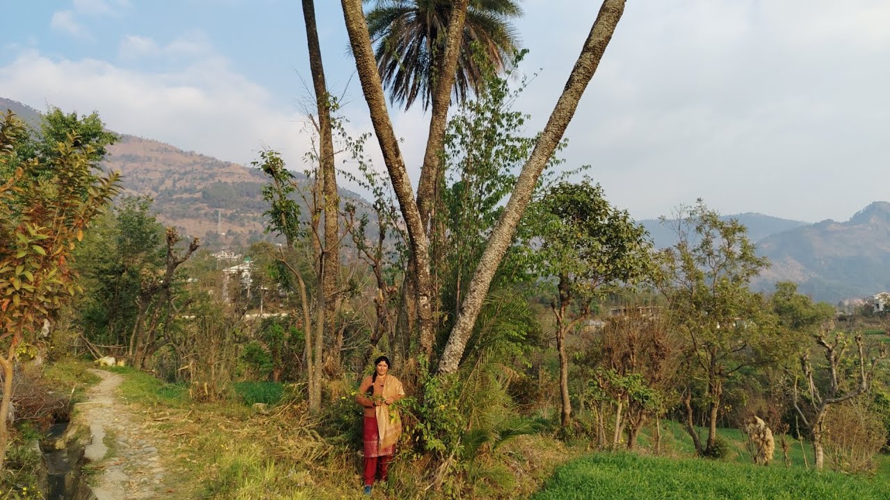 आज देखा हमने टोटल धमाल मूवी का 