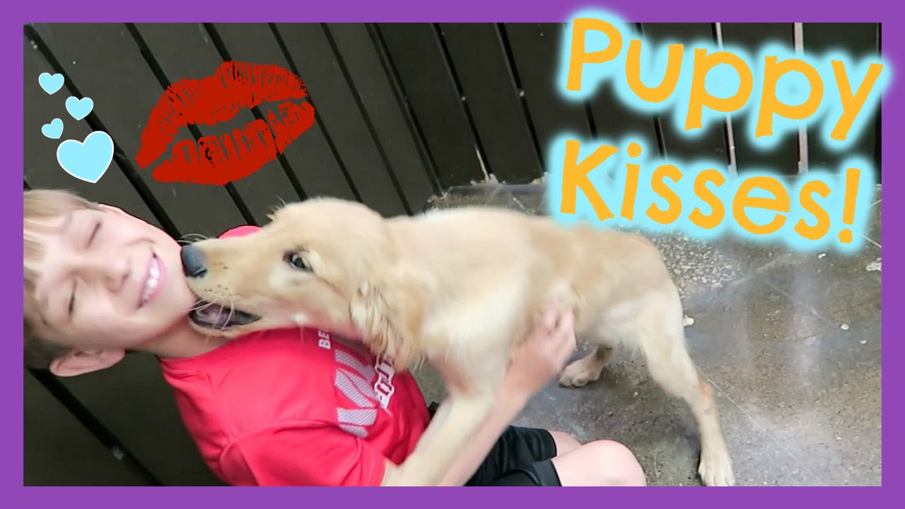 GREAT BIG PUPPY KISSES