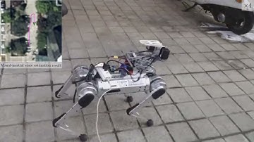 Legged Robot Neck Design for Robust Visual Inertial State Estimation: Outdoor Experiment (RA-L 2023)