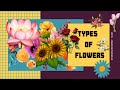 types of flowers, flowers name, 10 flowers name, flower, flowers name for kids Flowers Name Basic