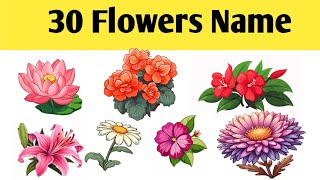 30 Flowers Name in English and Hindi | फूलों के नाम | Kids Learning Video | Easy Vocabulary