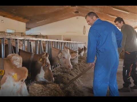 Doku-Serie #wirlebennaturland: Herkunft der Milch