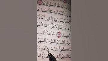 تلاوة رائعة من أخر سورة الحشر🌻🦋🌻🦋🌻🦋 #القرآن_الكريم #المصحف #لايك #اكسبلور #قرآن #egzonibrahimi ☘️🌷☘️