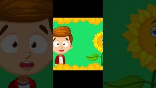 Sordum Sarı Çiçeğe, Çocuk Ilahisi.