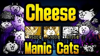 All Manic Cats Cheese