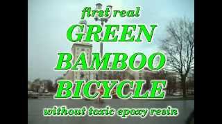 Green-Bamboo-Bike No.one ~ Berlin Nov.2015