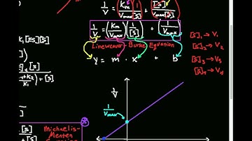 Lineweaver-Burke Equation: Theory and Derivation