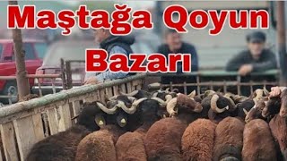 Maştağa qoyun bazari Azad tv.