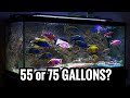 Which African Cichlids for a 55 and 75 Gallon Aquarium?