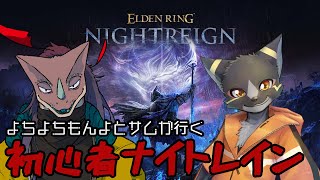 深夜にサムとナイトレン【ELDEN RING NIGHTREIGN】