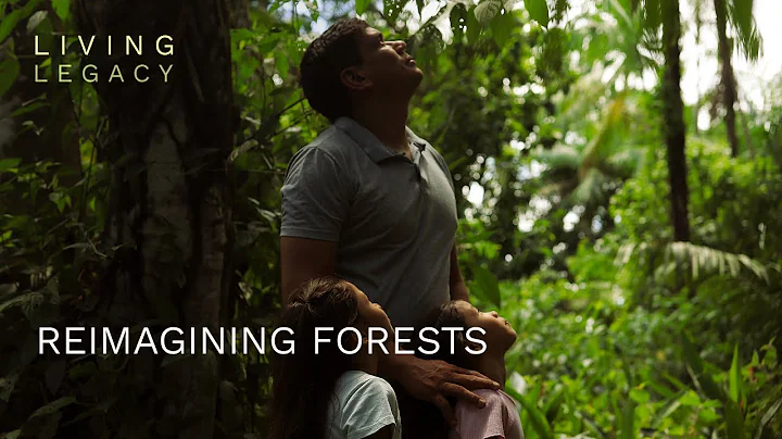 Reimagining forests | Living Legacy | BBC StoryWorks
