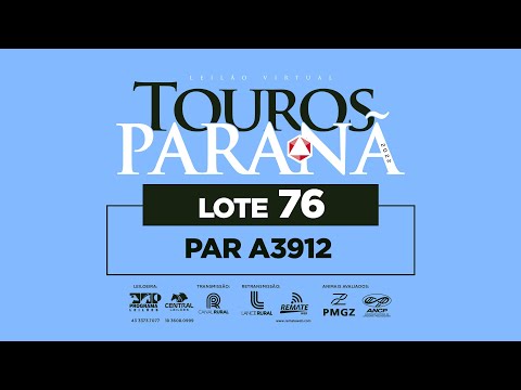 LOTE 76 PAR A3912