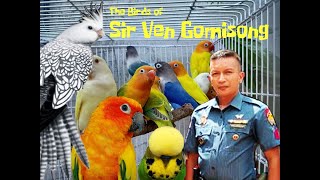 The Birds of Sir Ven Gomisong
