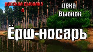 Русская рыбалка 4(рр4/rf4) - река Вьюнок. Ёрш-носарь