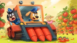 police farm adventure safety rules for kids sheriff labrador kids cartoon babybus tv