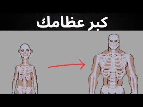 كيف تجبر عظامك على النمو حرفيا بدون قيود 