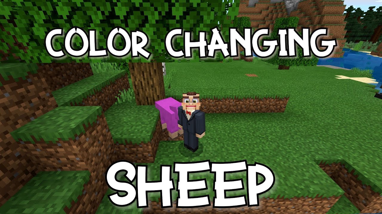 Minecraft | Color Changing Sheep? | Feb 2020 - YouTube