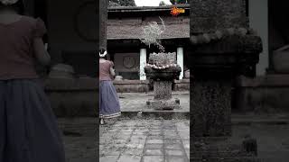 Nathicharami From Nov 4Th 630 Pm Udaya Tv