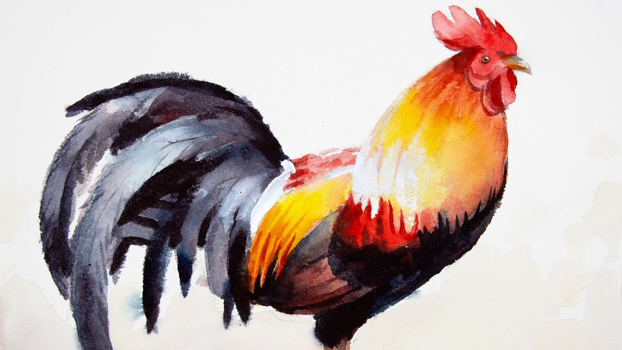 Watercolor Painting A Rooster Step By Step YouTube Maxresdefault