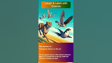 Challenge MCQs For Fun Answer Part 23