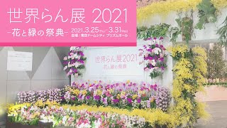 世界らん展 2021-part1【洋蘭展】Japan Grand Prix International Orchid and Flower Show in Tokyo Dome.