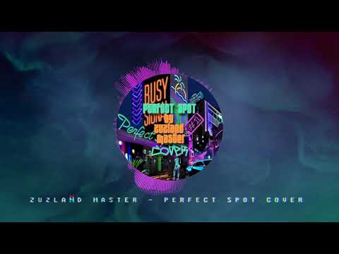 Busy Signal - Perfect Spot Cover by Zuzland Master