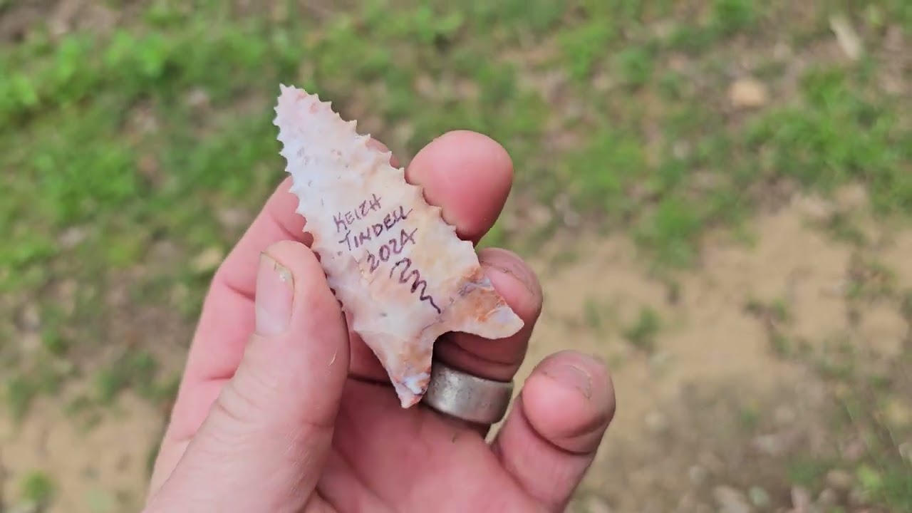 Flint Ridge Pine Tree, Nibletts Bluff Knap-In.