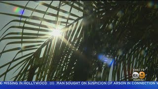 As Temperatures Hit Triple-Digits, Scientist Warns This Could Be 'One Of Biggest Heat Waves We've Se