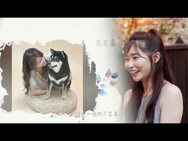 小波影像工作室 - 浪漫求婚mv精華影片剪輯