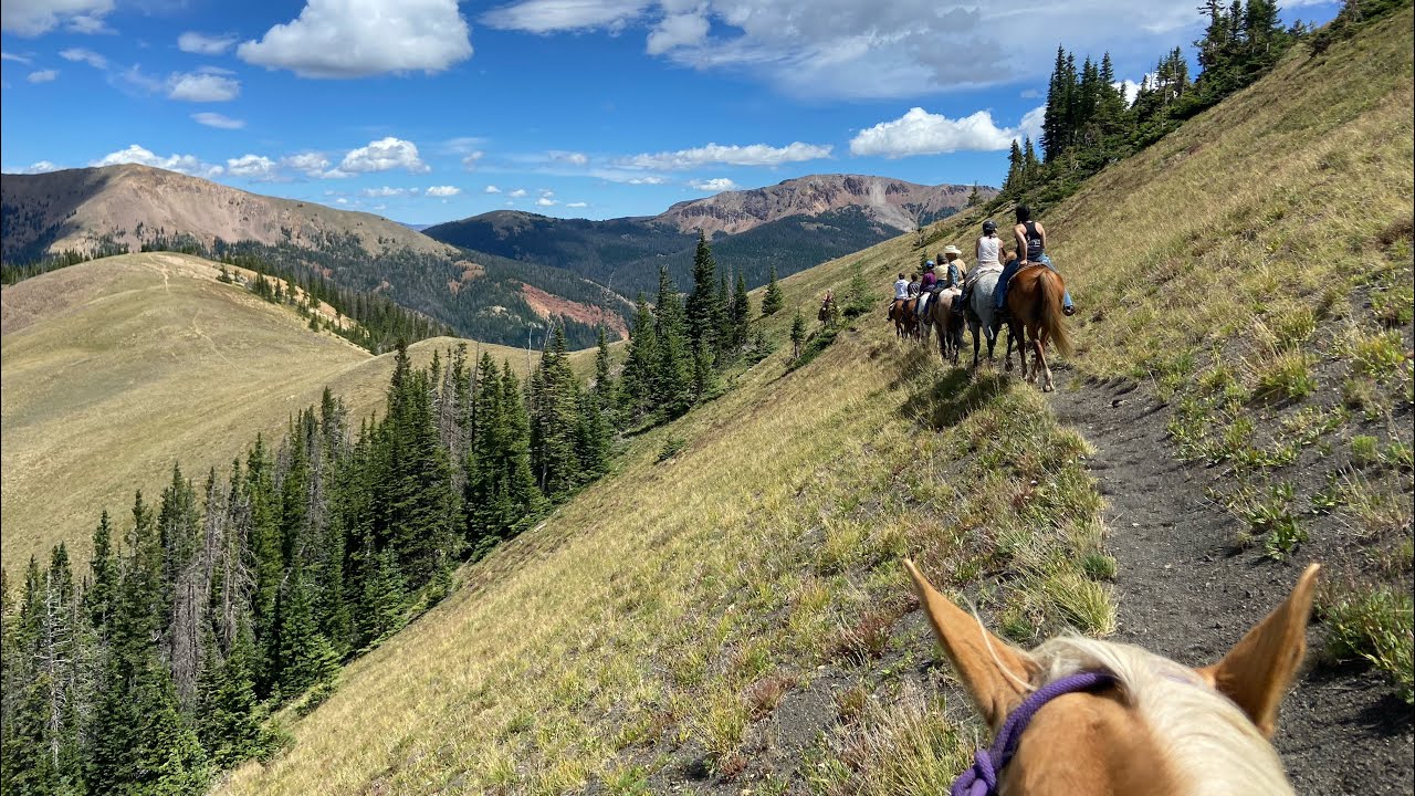 Laughing Buck Farm Staff / Volunteer Trail Ride 2024!