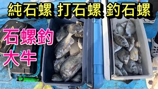 螺越來越貴 一定要用純金寶螺才釣的到魚嗎 今天我來破解一下這個迷思 打純石螺吸引的到魚群嗎 ? 勾石螺釣的到魚嗎 ?