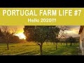 HAPPY NEW YEARS | Portugal Farm Life 2-07