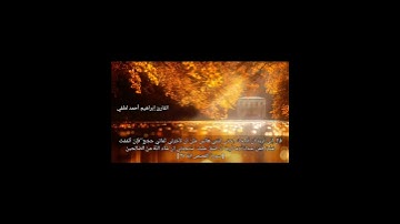 تلاوة فاقت الوصف من سورة القصص #قرآن #quran