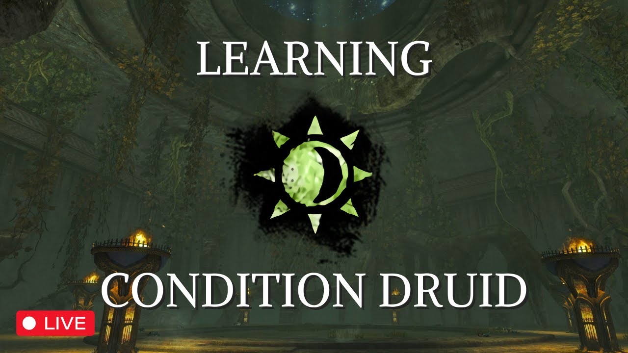 Learning Condition Damage Druid | EU Open World then Strikes | 26-Jan-2025 Livestream