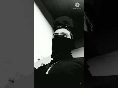 حالة وتس اب لجلك مولاتي زينب 