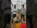 Harvesting packaging and transporting of roserose horticulture icar floriculture igkv