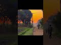 A gujarne wali hawa#sad #shortvideo #viralvideo