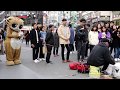JHKTV] korea special cat &drum kill (street stixx) 신촌명물고양이와 드럼죽이다