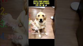 Joyful Funny Moment: Tiny but Mighty Doggo Epic Fail 😂🚀 #funny #doggielife #funnyprank #pets