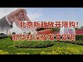 北京新政放开限购！新华社深夜发文定调