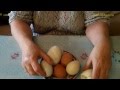Как выдувать яица